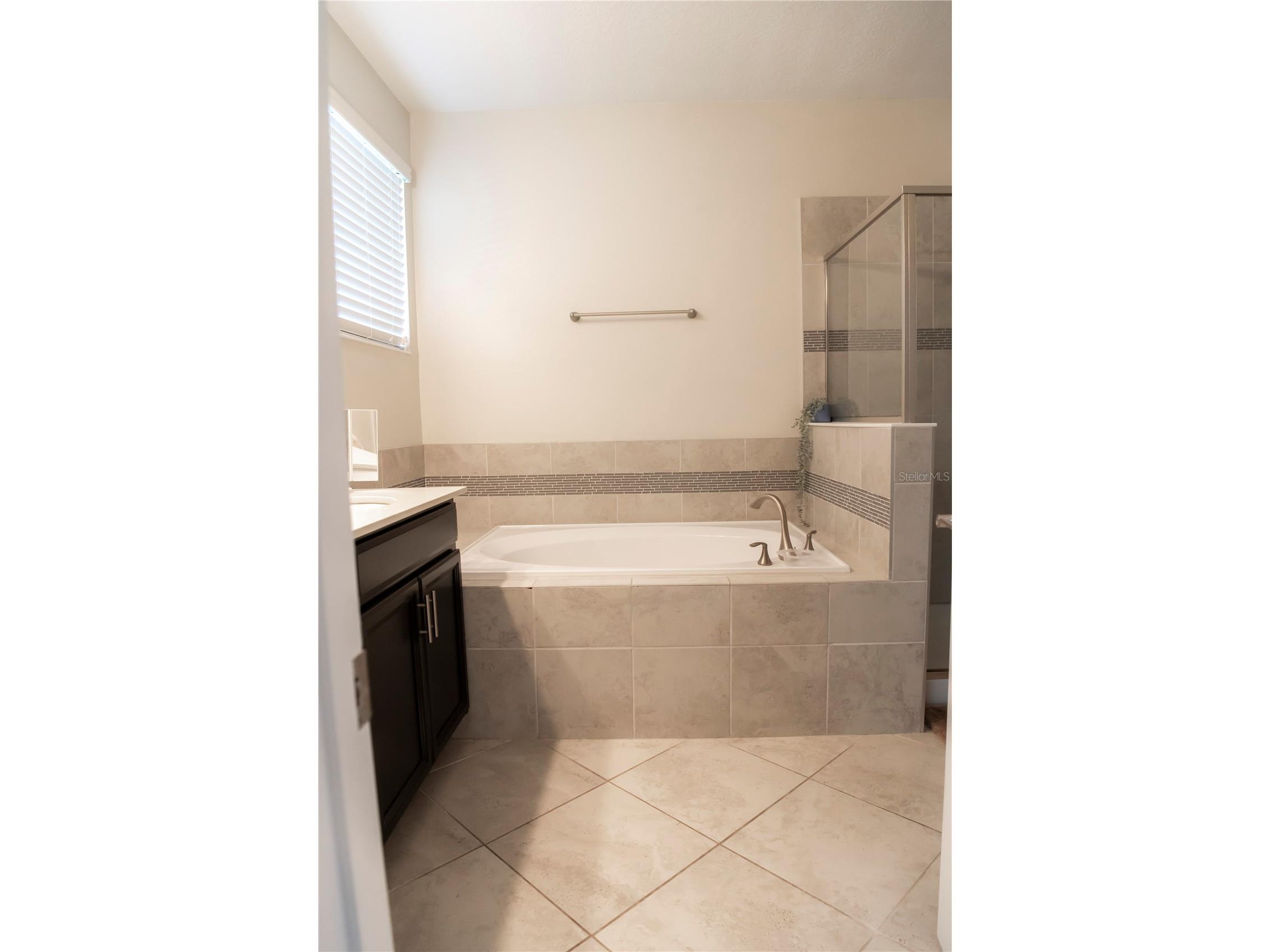 11378 Whistling Pine Way Orlando FL 32832 S5147562 image22