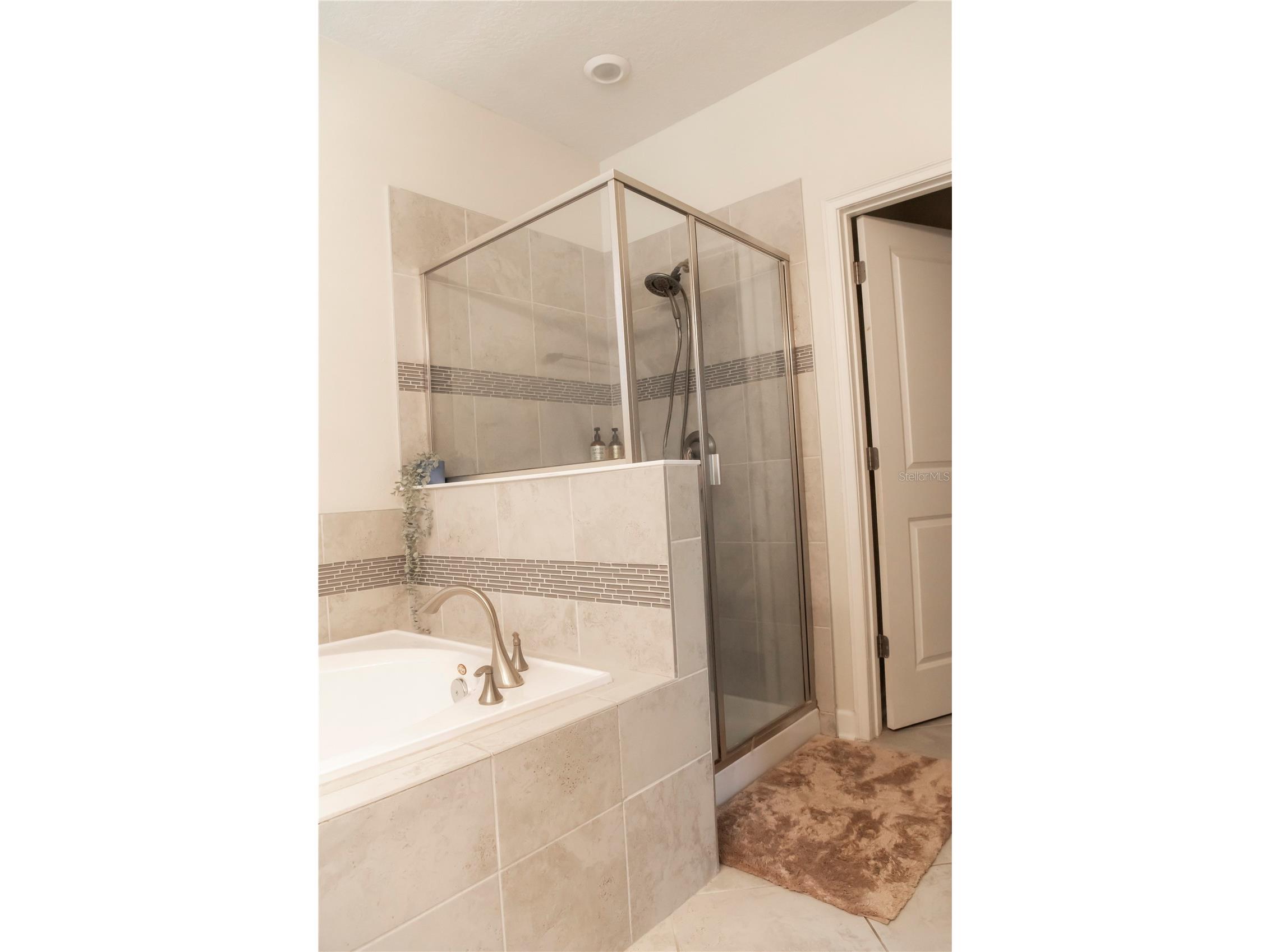 11378 Whistling Pine Way Orlando FL 32832 S5147562 image23