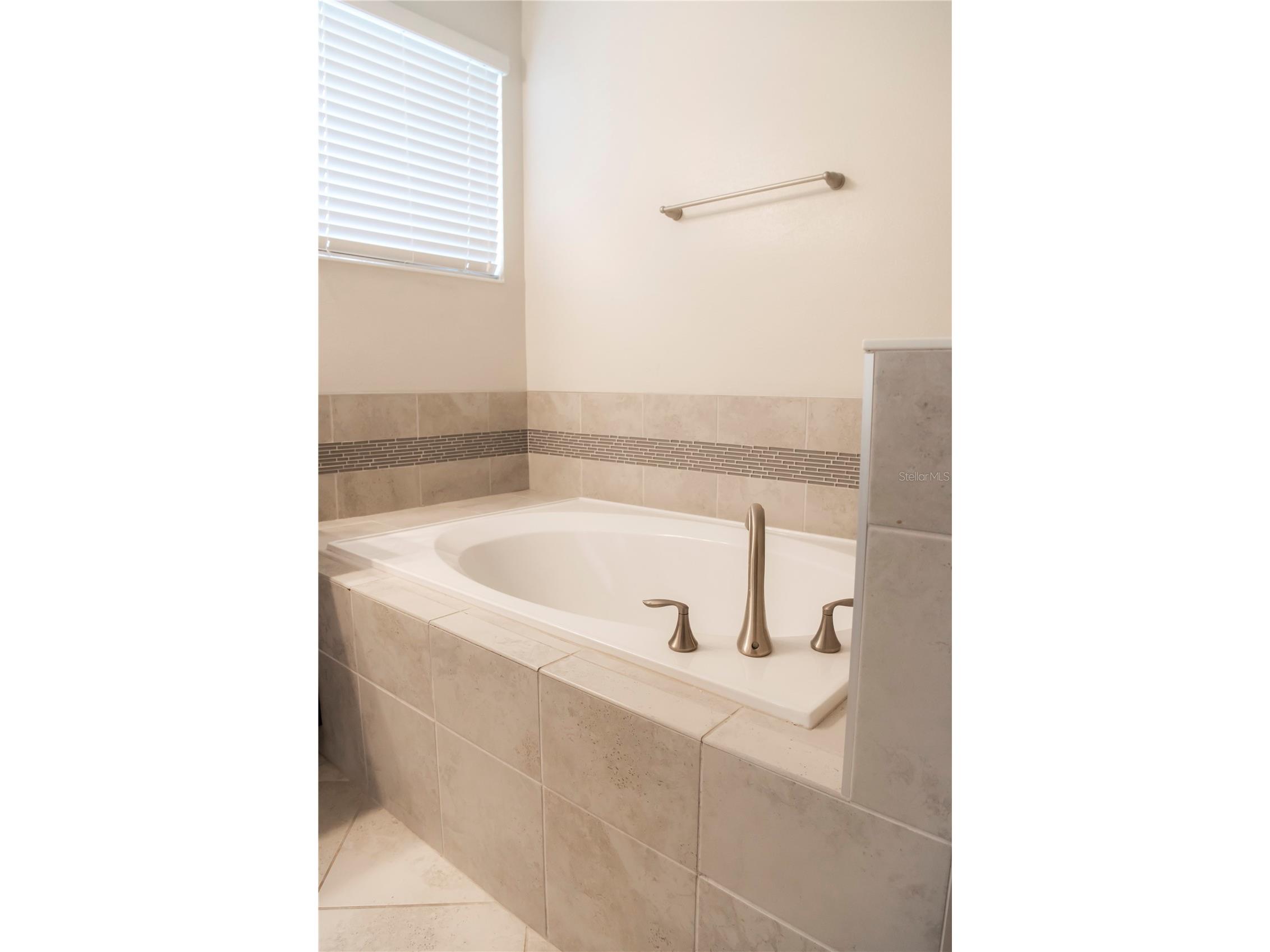 11378 Whistling Pine Way Orlando FL 32832 S5147562 image24