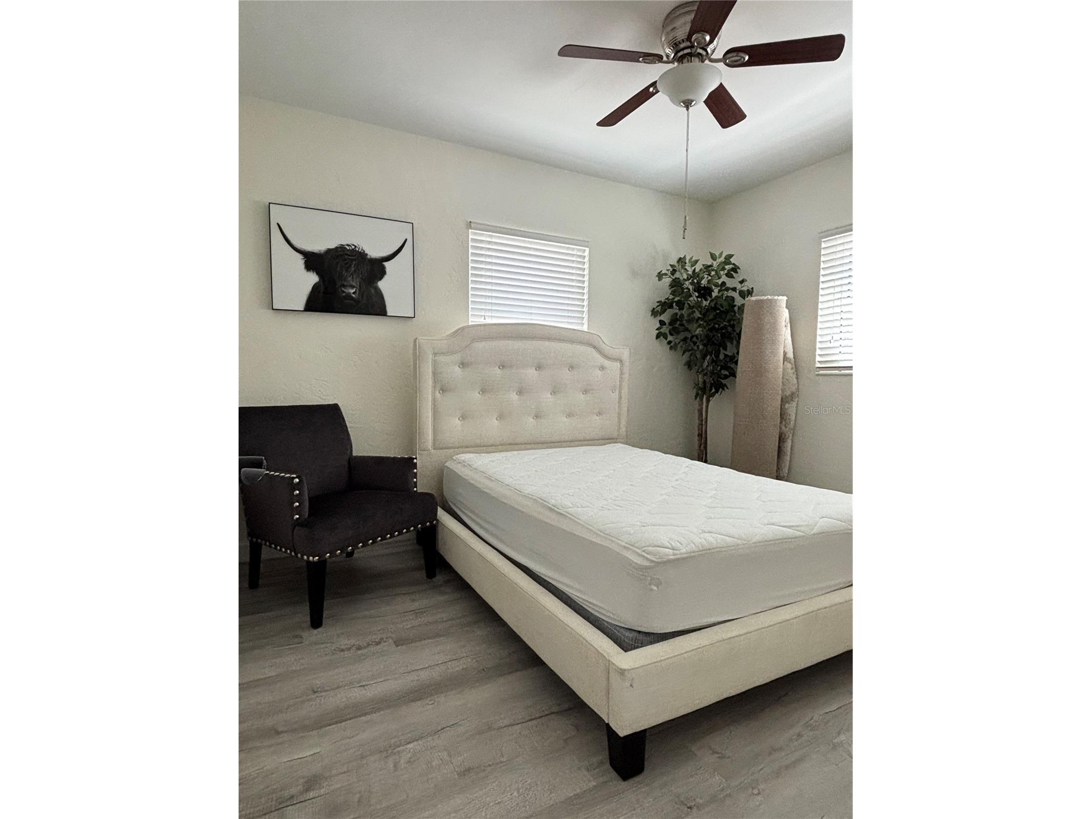 1138 51st Avenue N Saint Petersburg FL 33703 TB8529465 image9