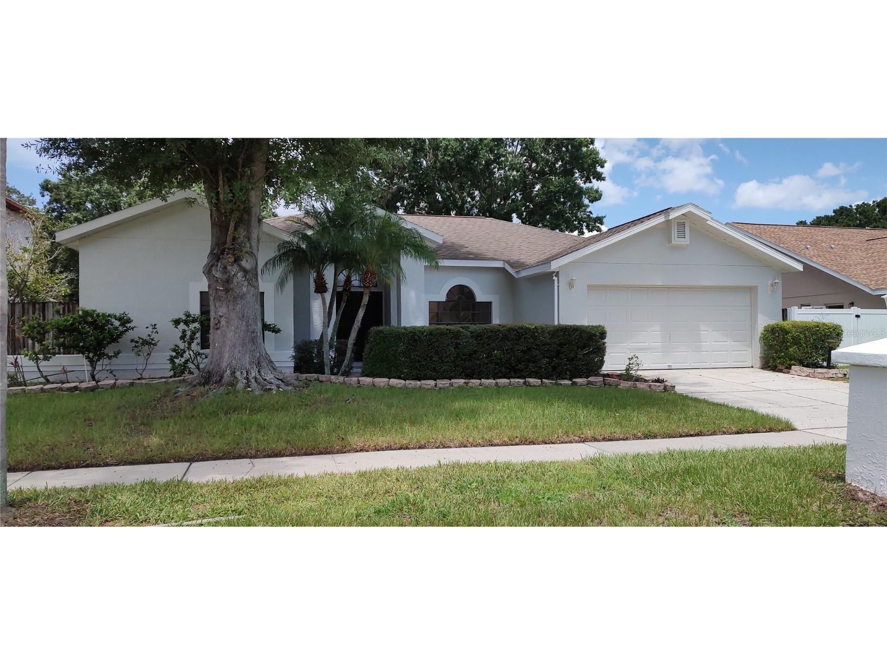 1138 Blufield Avenue Brandon FL 33511 T3544539 image1