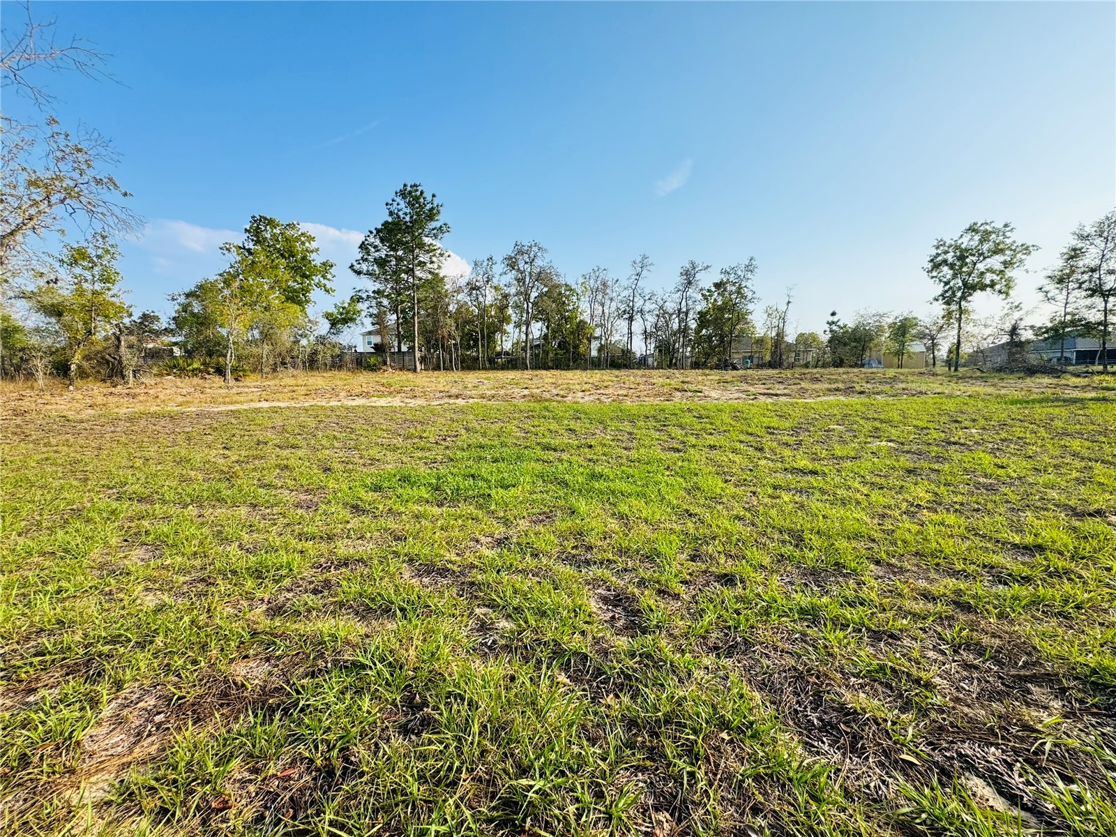 11380 Old Squaw Avenue Weeki Wachee FL 34614 TB8492856 image19