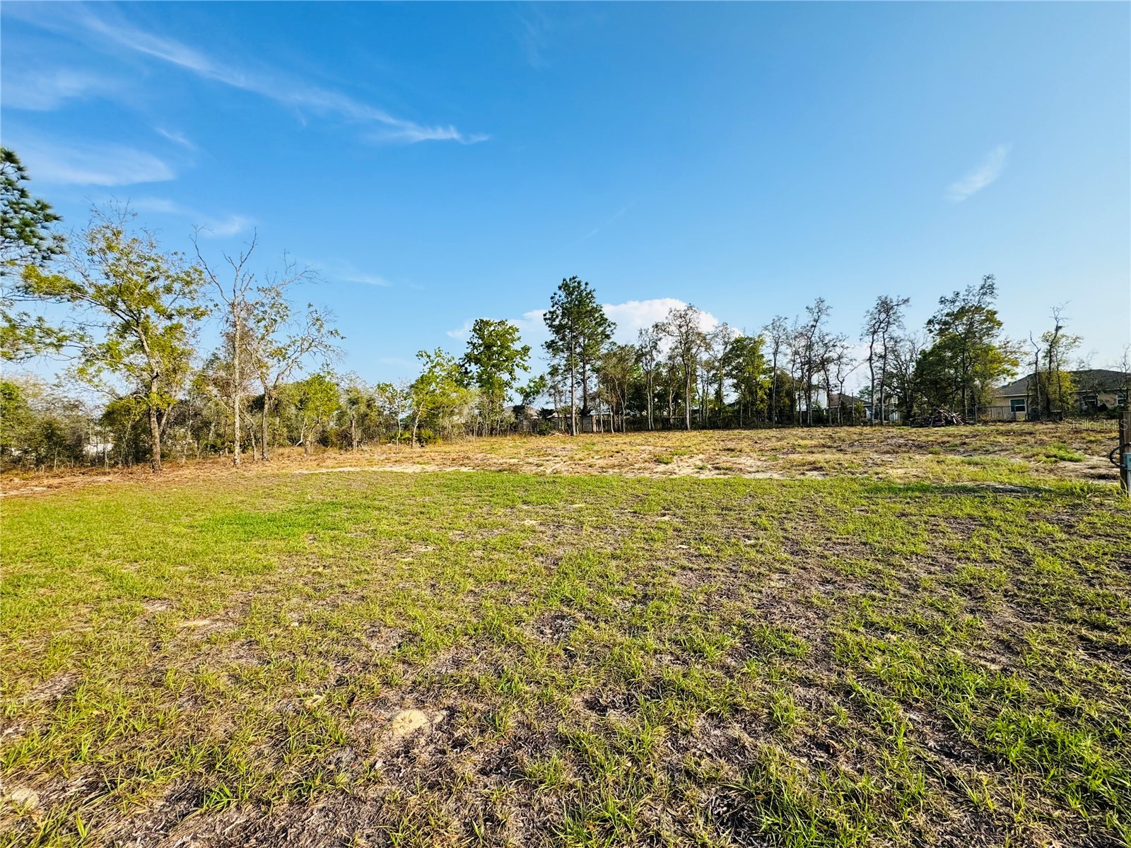 11380 Old Squaw Avenue Weeki Wachee FL 34614 TB8492856 image20