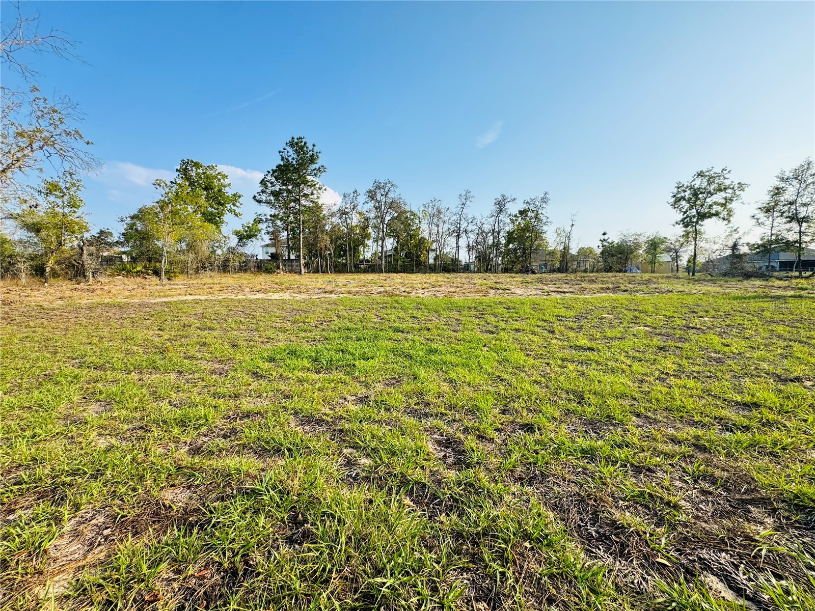 11380 Old Squaw Avenue Weeki Wachee FL 34614 TB8492856 image21
