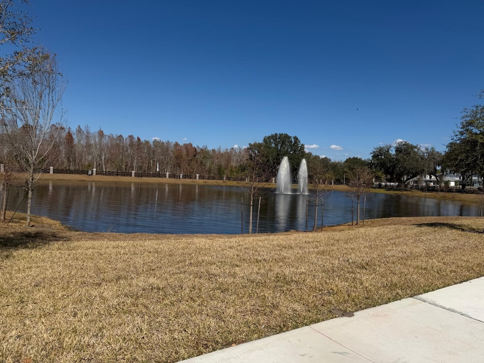 11381 Nona Sound Street Orlando FL 32832 S5143517 image24