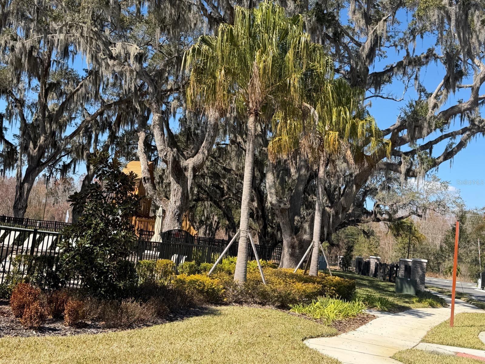 11381 Nona Sound Street Orlando FL 32832 S5143517 image27