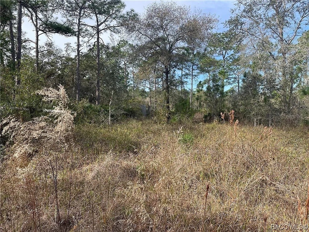 11381 S Rosewater Point Homosassa FL 34446 O6338160 image2