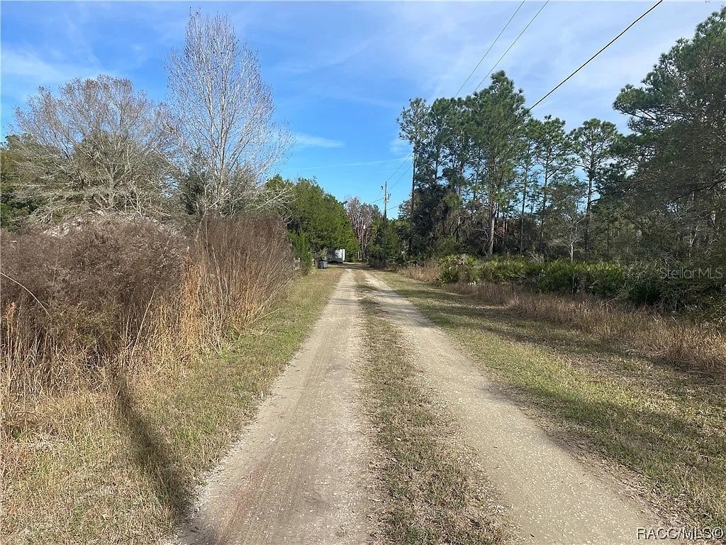 11381 S Rosewater Point Homosassa FL 34446 O6338160 image3