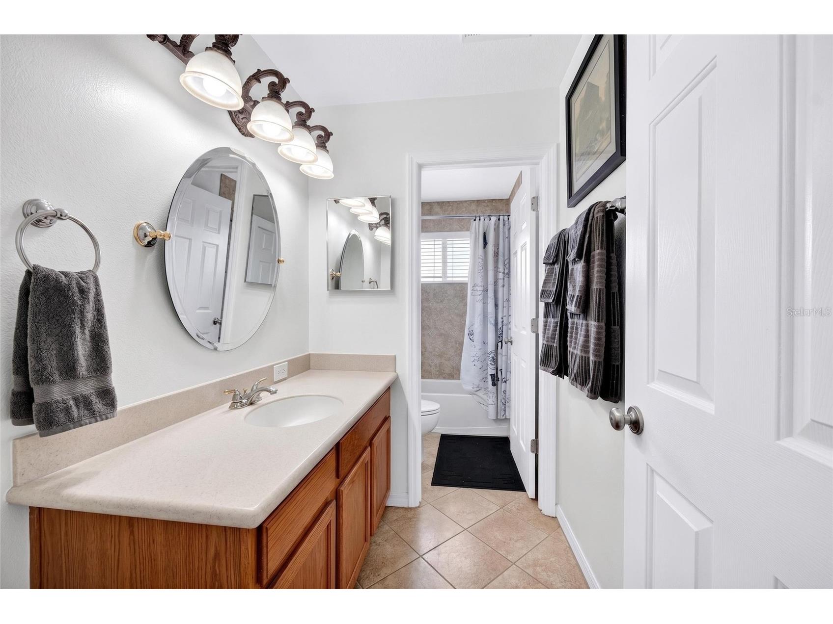 11384 Walden Loop Parrish FL 34219 TB8516463 image17