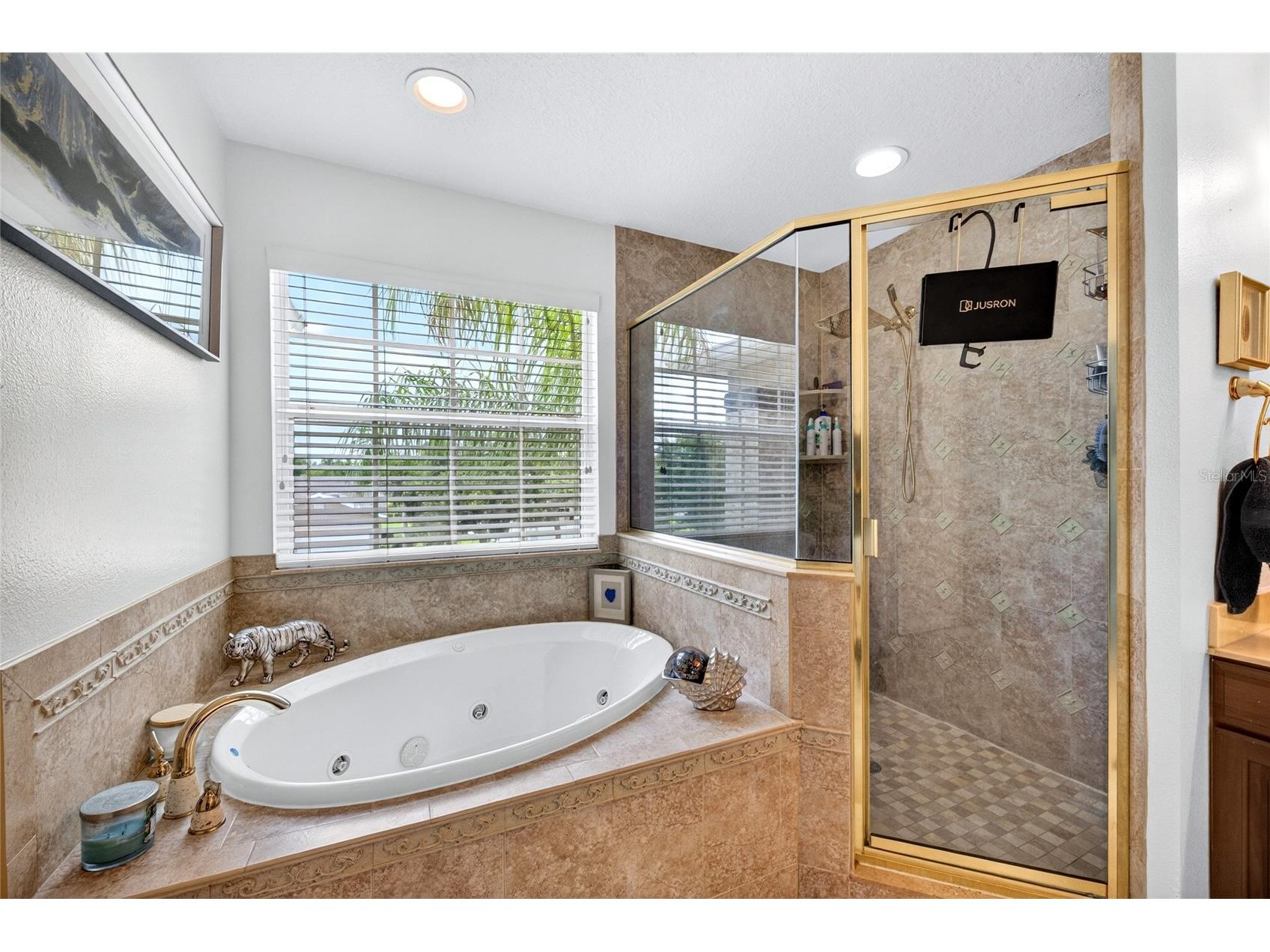 11384 Walden Loop Parrish FL 34219 TB8516463 image28