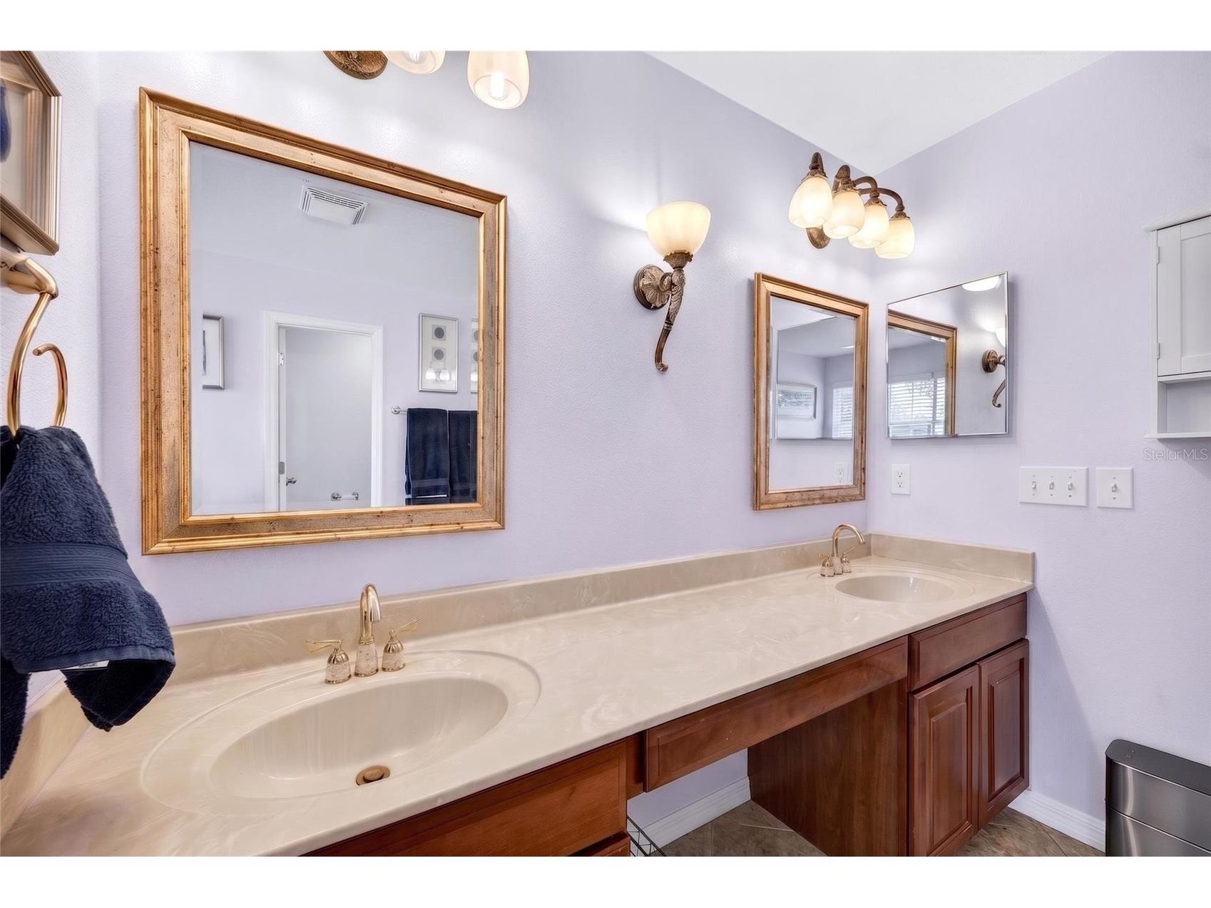 11384 Walden Loop Parrish FL 34219 TB8516463 image30