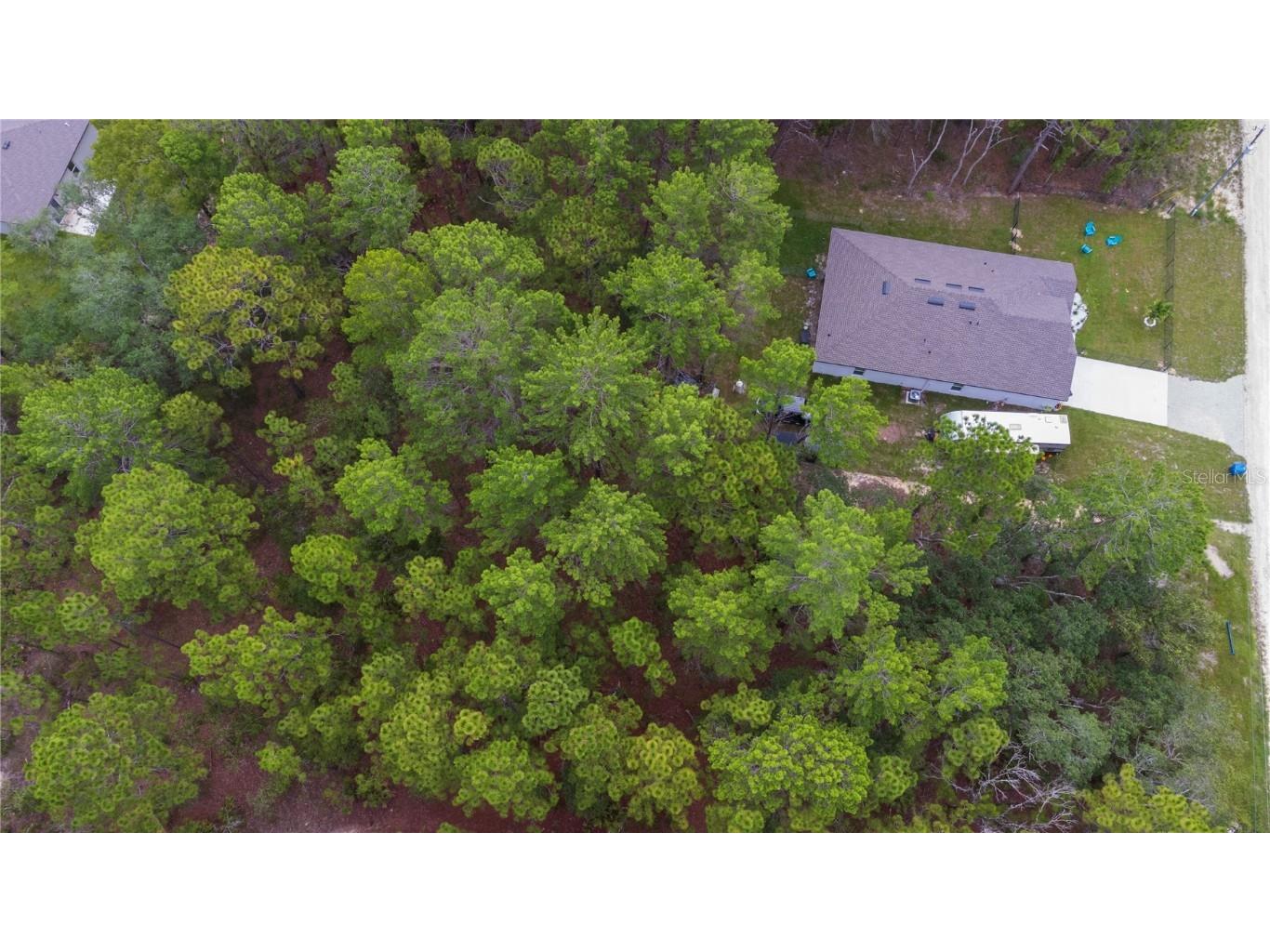 11385 Chickadee Road Brooksville FL 34614 U8250399 image1