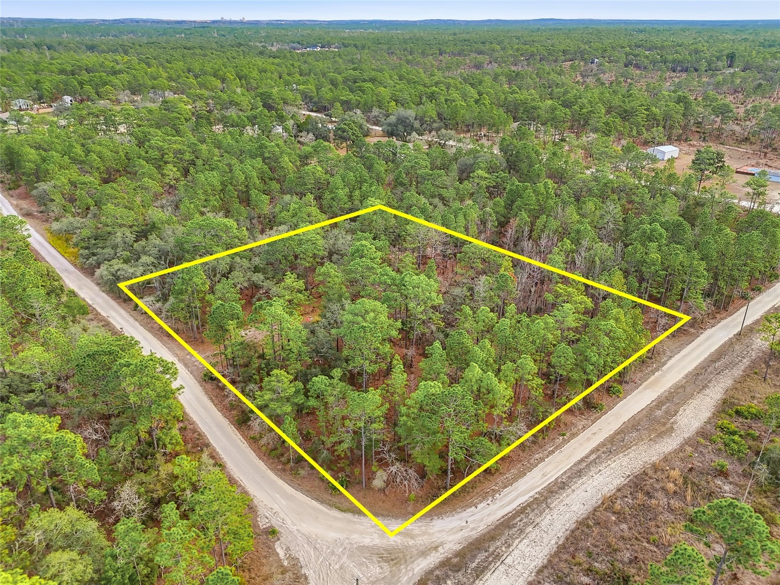 11388 Thames Avenue Brooksville FL 34614 W7882963 image3