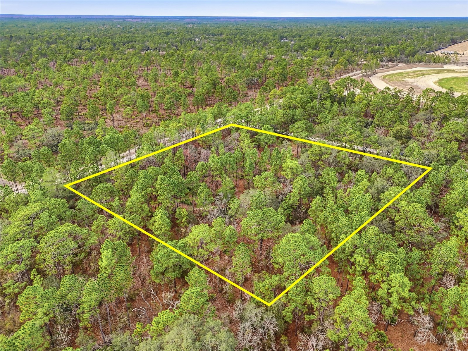 11388 Thames Avenue Brooksville FL 34614 W7882963 image4