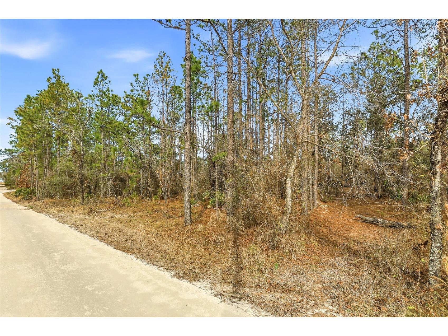 11388 Thames Avenue Brooksville FL 34614 W7882963 image6