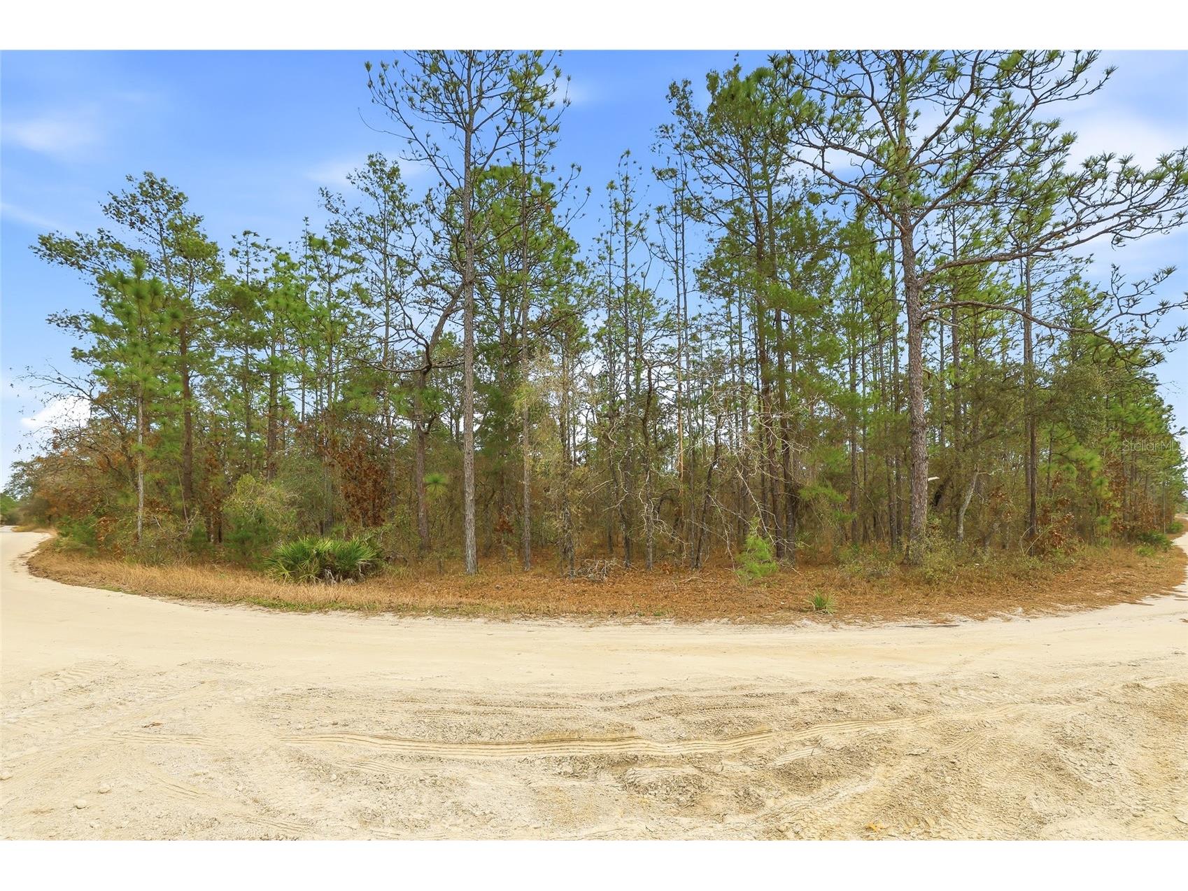 11388 Thames Avenue Brooksville FL 34614 W7882963 image7