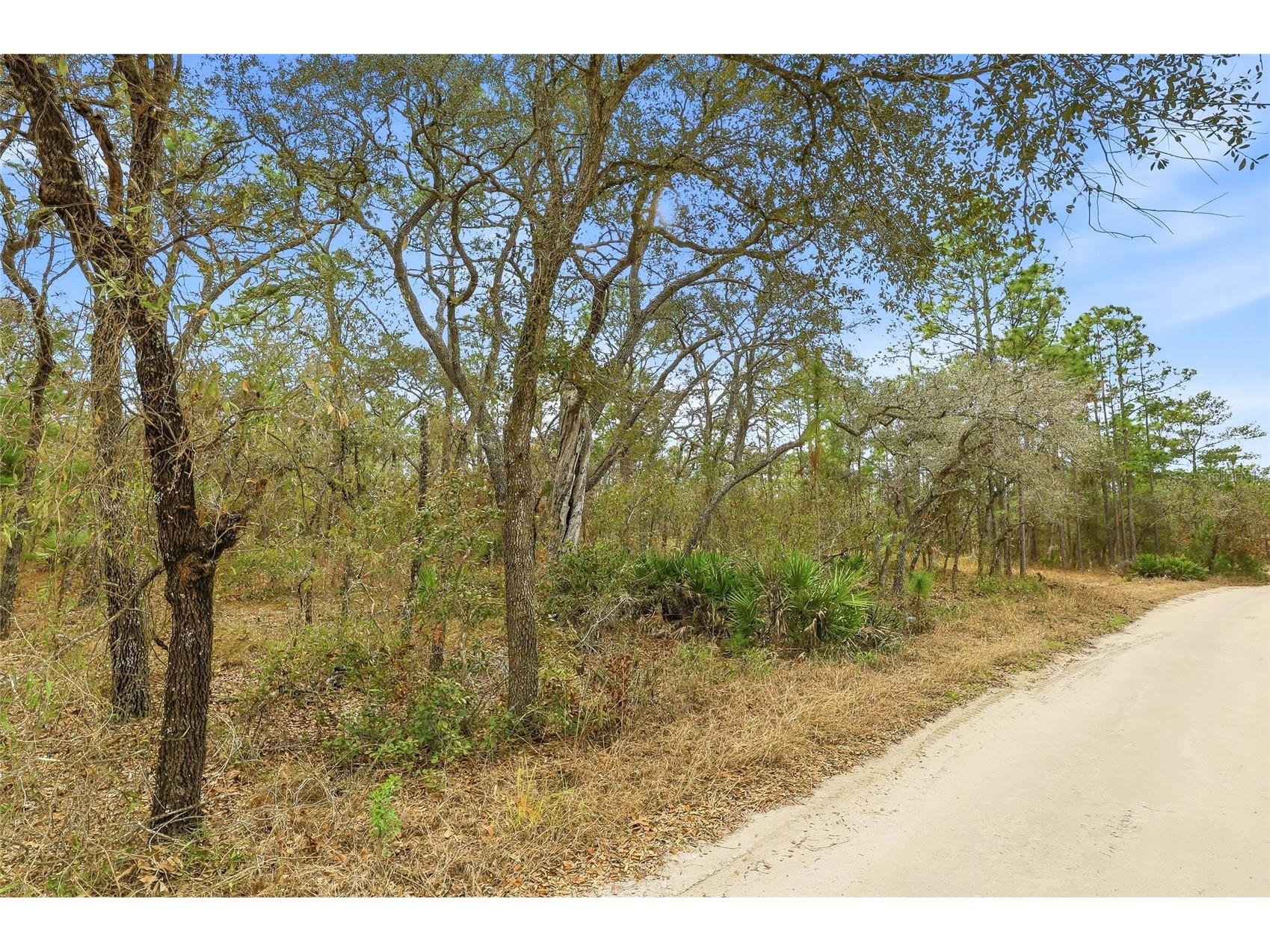 11388 Thames Avenue Brooksville FL 34614 W7882963 image8