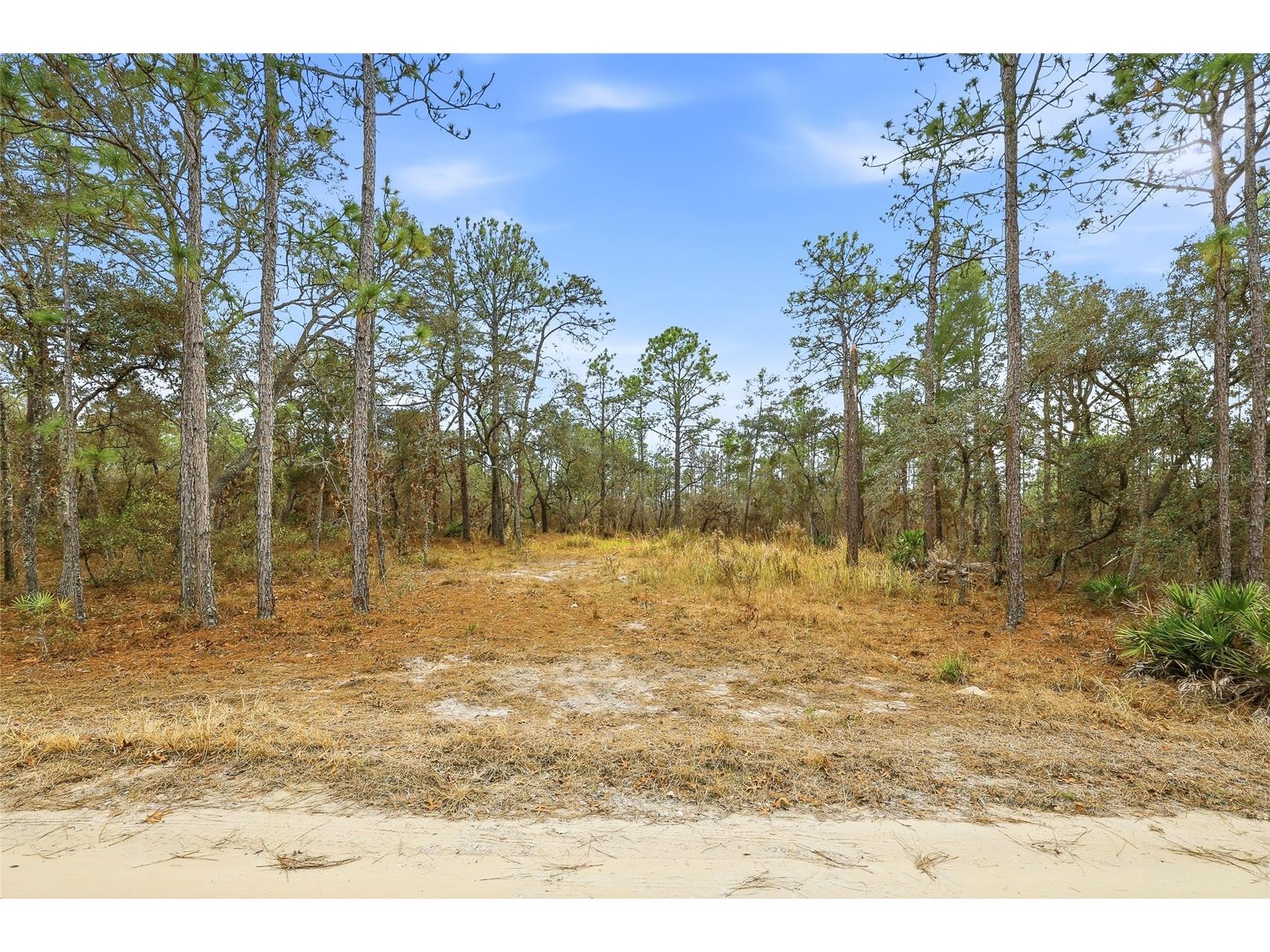 11388 Thames Avenue Brooksville FL 34614 W7882963 image9