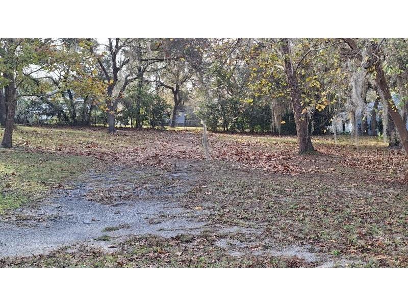 1139 E Mckinley Street Hernando FL 34442 O6367855 image25