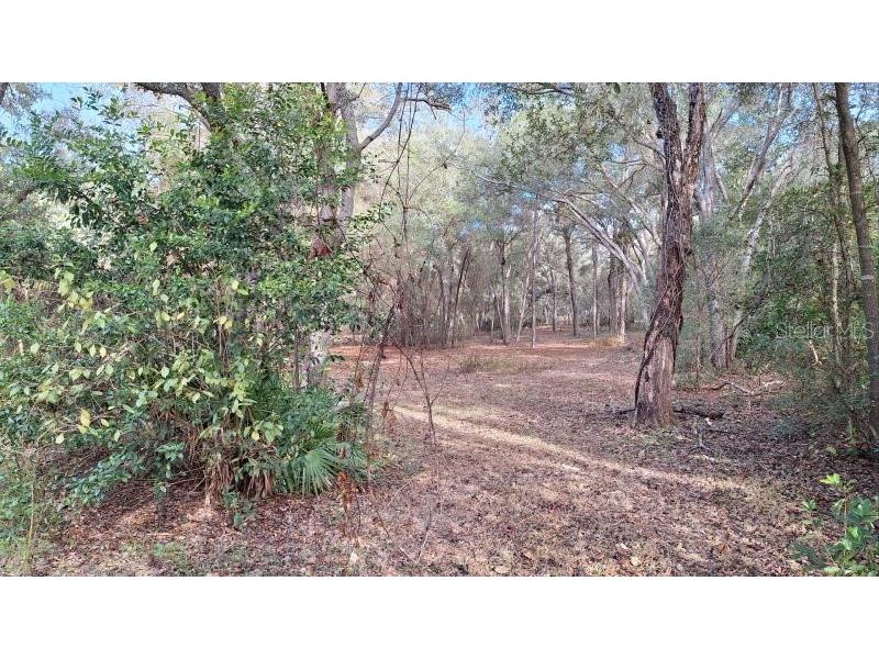 1139 E Mckinley Street Hernando FL 34442 O6367855 image27