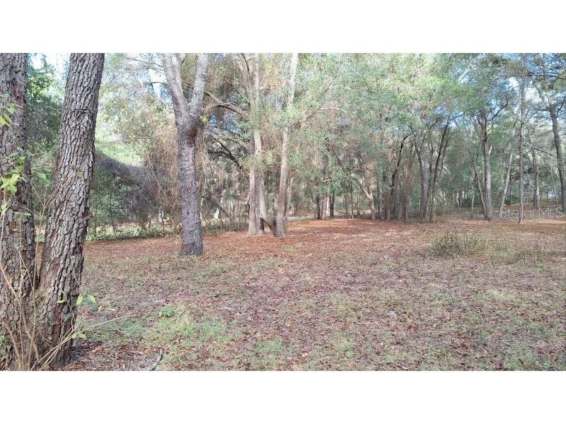 1139 E Mckinley Street Hernando FL 34442 O6367855 image28