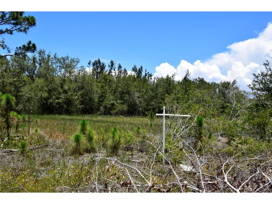 11390 7th Avenue Punta Gorda FL 33955 C7475863 image1