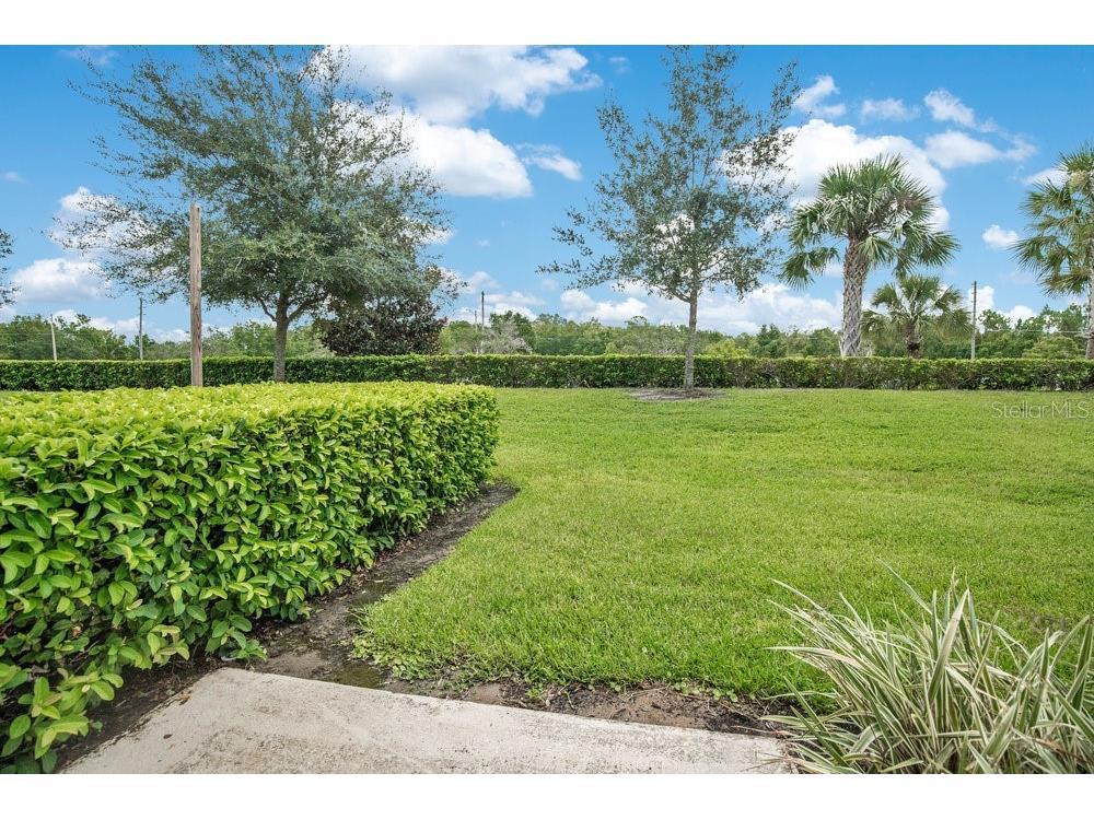 11390 Whistling Pine Way Orlando FL 32832 O6334276 image11