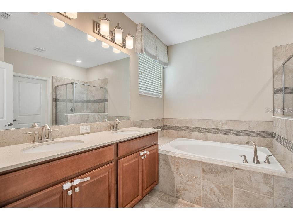 11390 Whistling Pine Way Orlando FL 32832 O6334276 image8