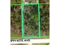 11391 Mississippi Kite Avenue Brooksville FL 34614 W7875895 image1