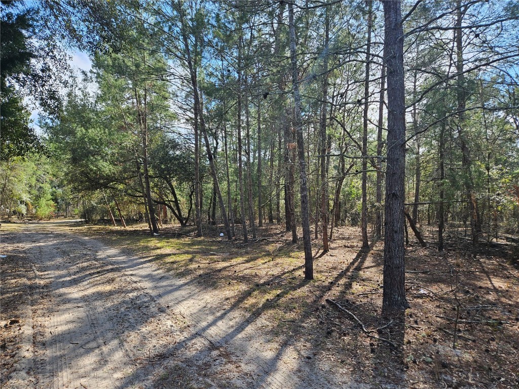11391 SE 4th Street Williston FL 32696 OM696065 image1