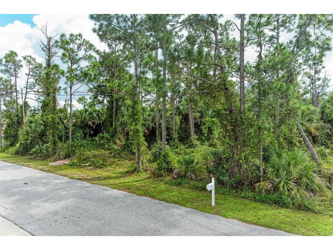 1139164804 1139164805 Foxglove Avenue #LOT 4 LOT 5 North Port FL 34288 TB8434836 image5