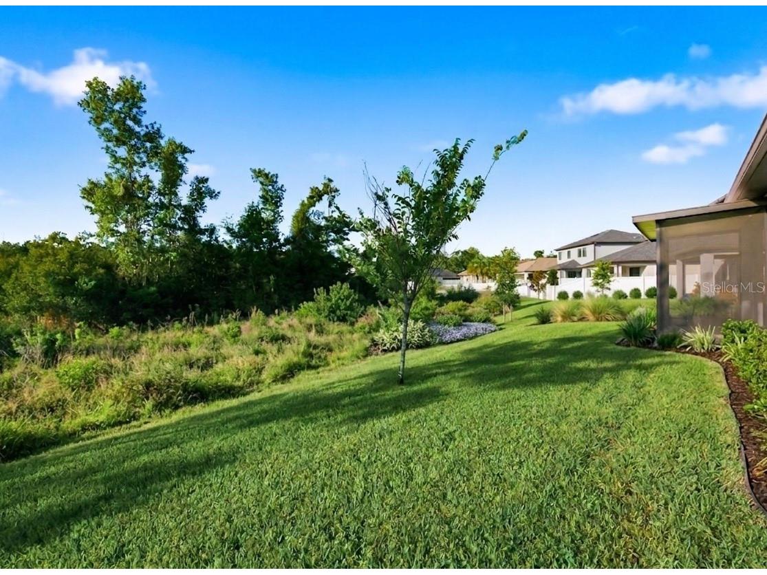 11392 Weaver Hollow Road New Port Richey FL 34654 TB8524692 image27