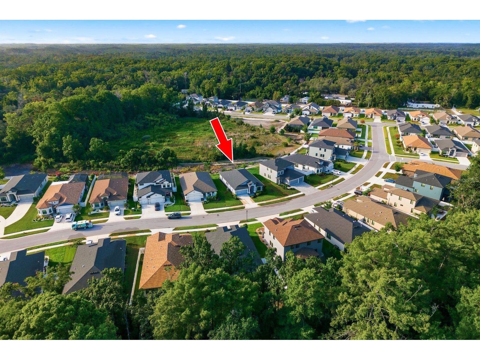 11392 Weaver Hollow Road New Port Richey FL 34654 TB8524692 image29