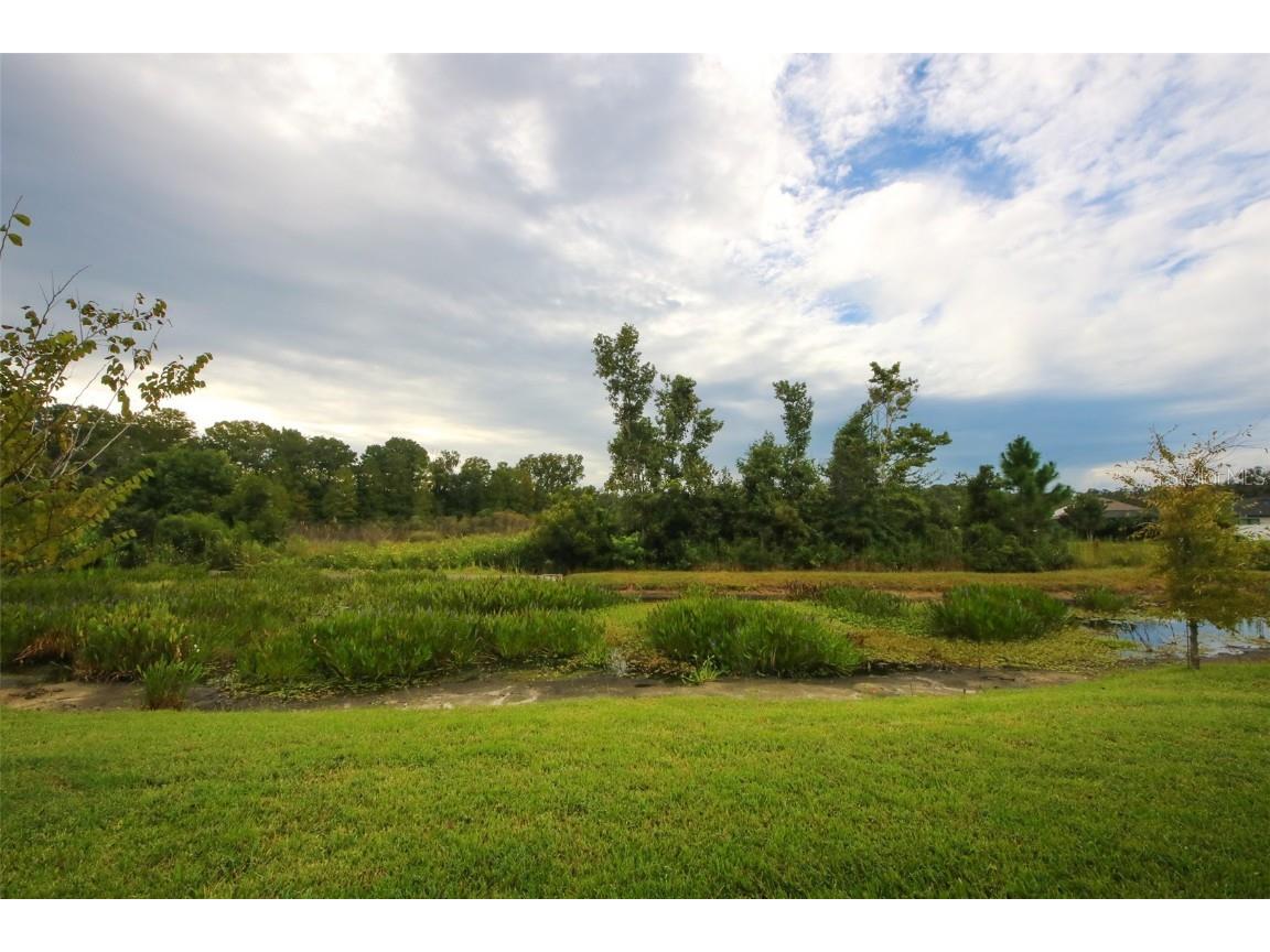 11392 Weaver Hollow Road New Port Richey FL 34654 W7879314 image31