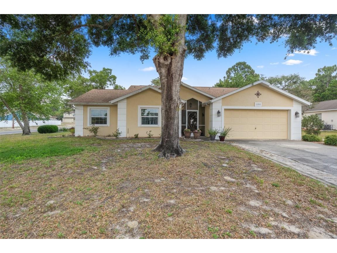 11393 Sagamore Street Spring Hill FL 34609 W7864671 image1