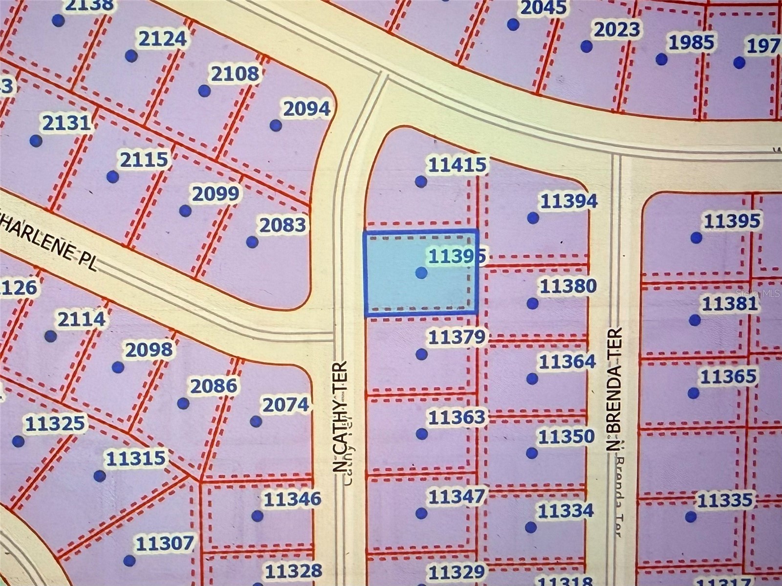 11395 N Cathy Terrace Citrus Springs FL 34434 OM722239 image2