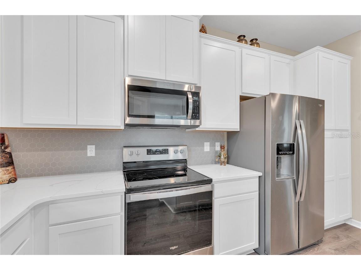 11396 Cay Spruce Way San Antonio FL 33576 TB8405020 image22