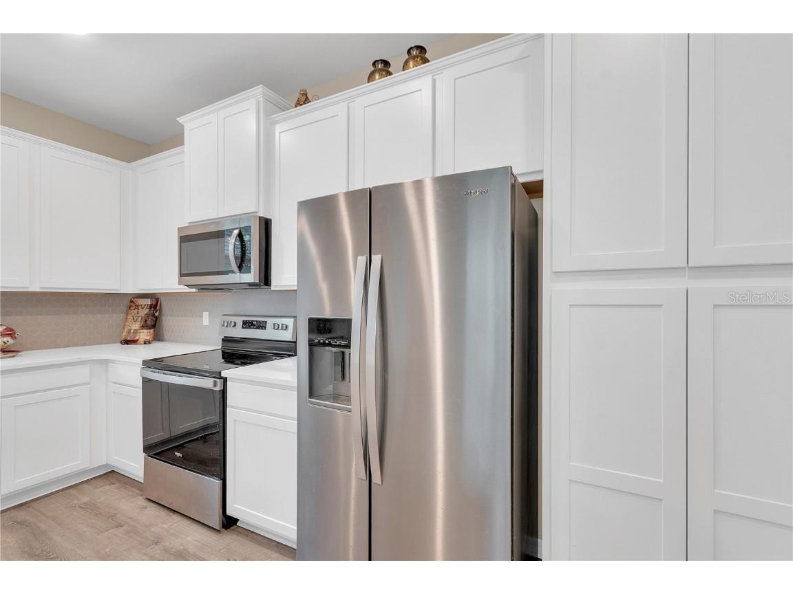 11396 Cay Spruce Way San Antonio FL 33576 TB8405020 image23