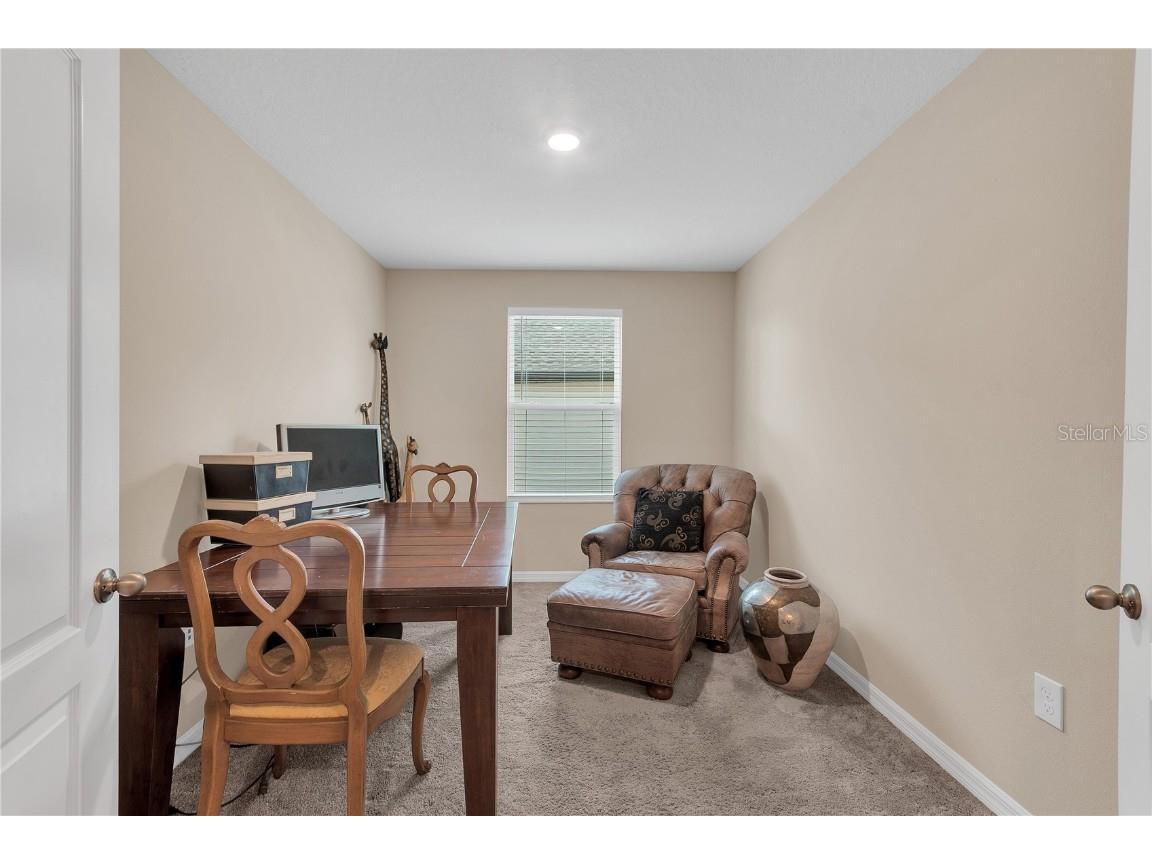 11396 Cay Spruce Way San Antonio FL 33576 TB8405020 image32