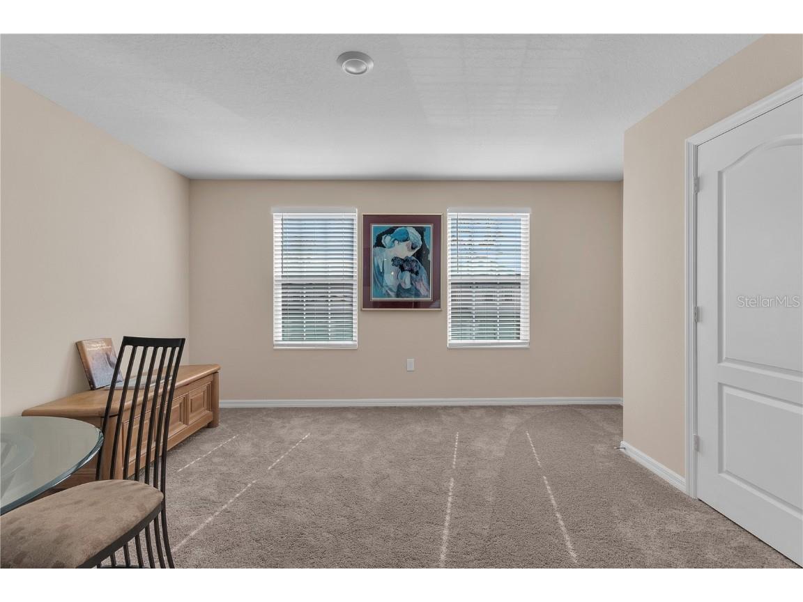 11396 Cay Spruce Way San Antonio FL 33576 TB8405020 image38