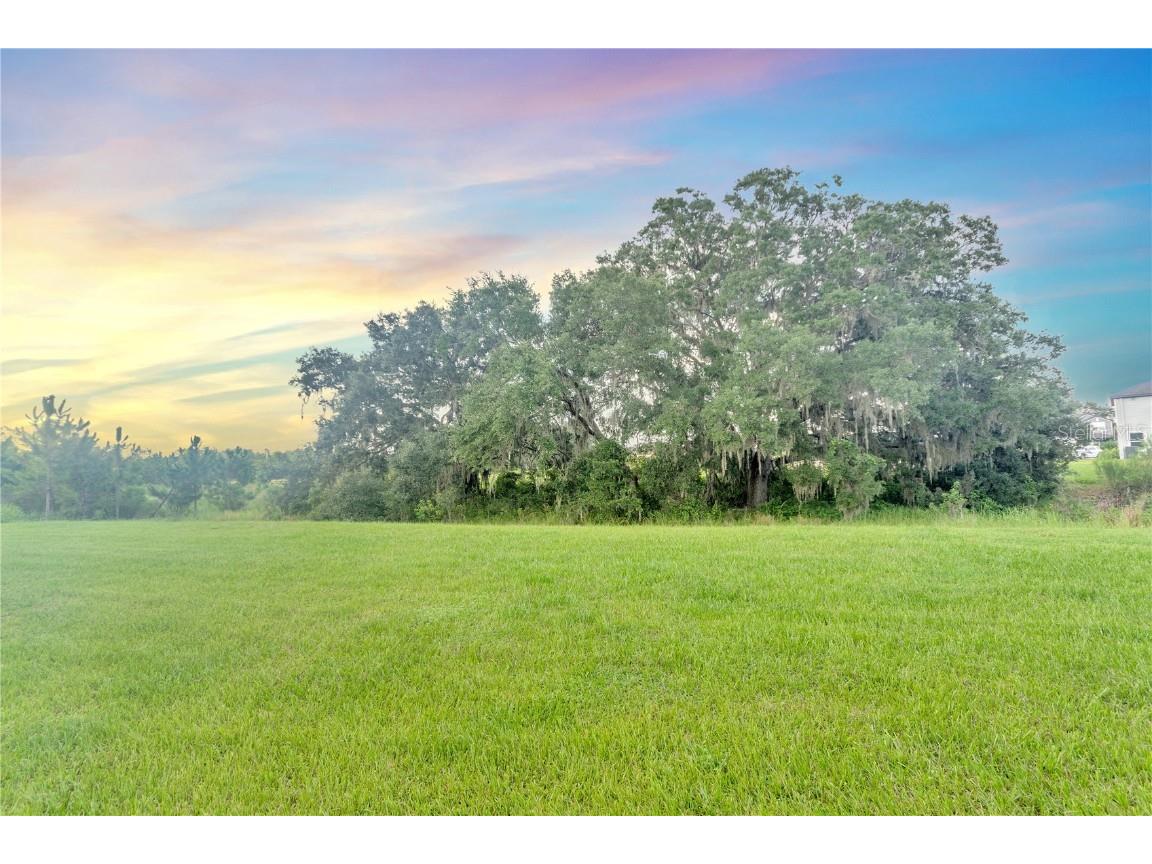 11396 Cay Spruce Way San Antonio FL 33576 TB8405020 image7