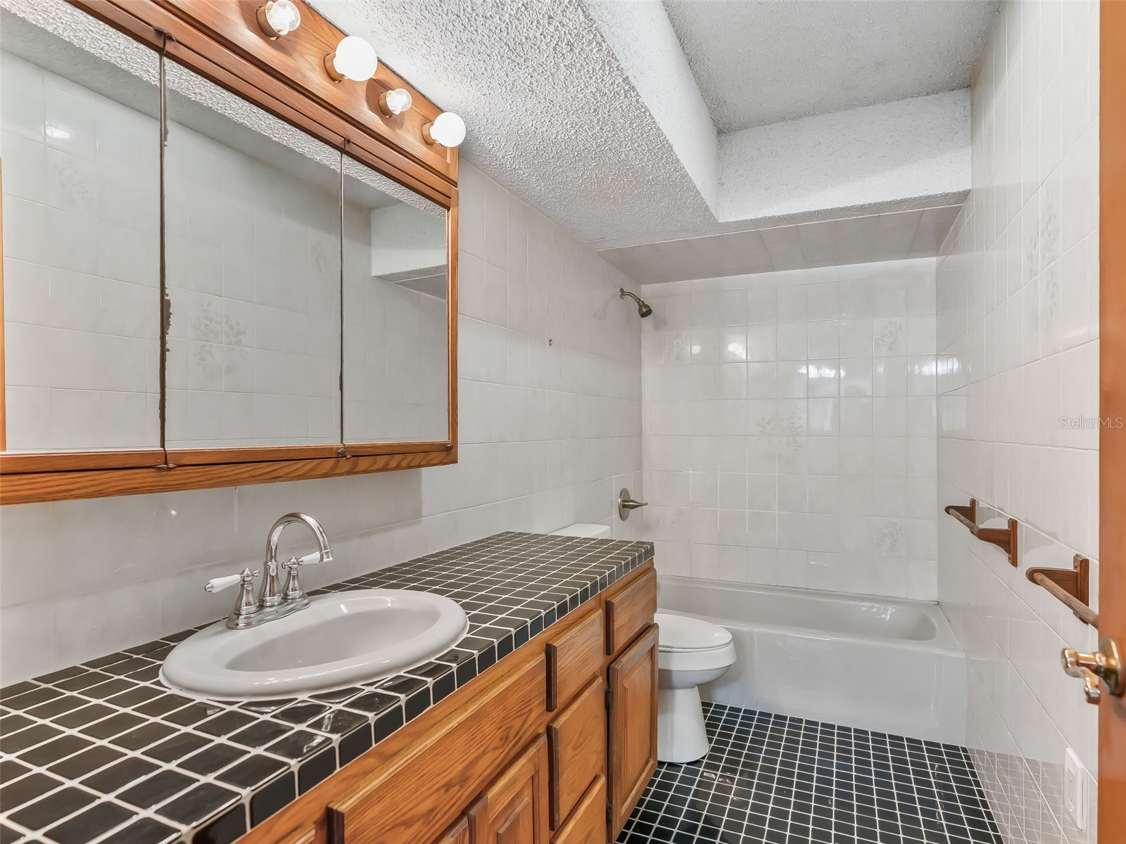 11398 Cr 682 Webster FL 33597 G5106705 image23