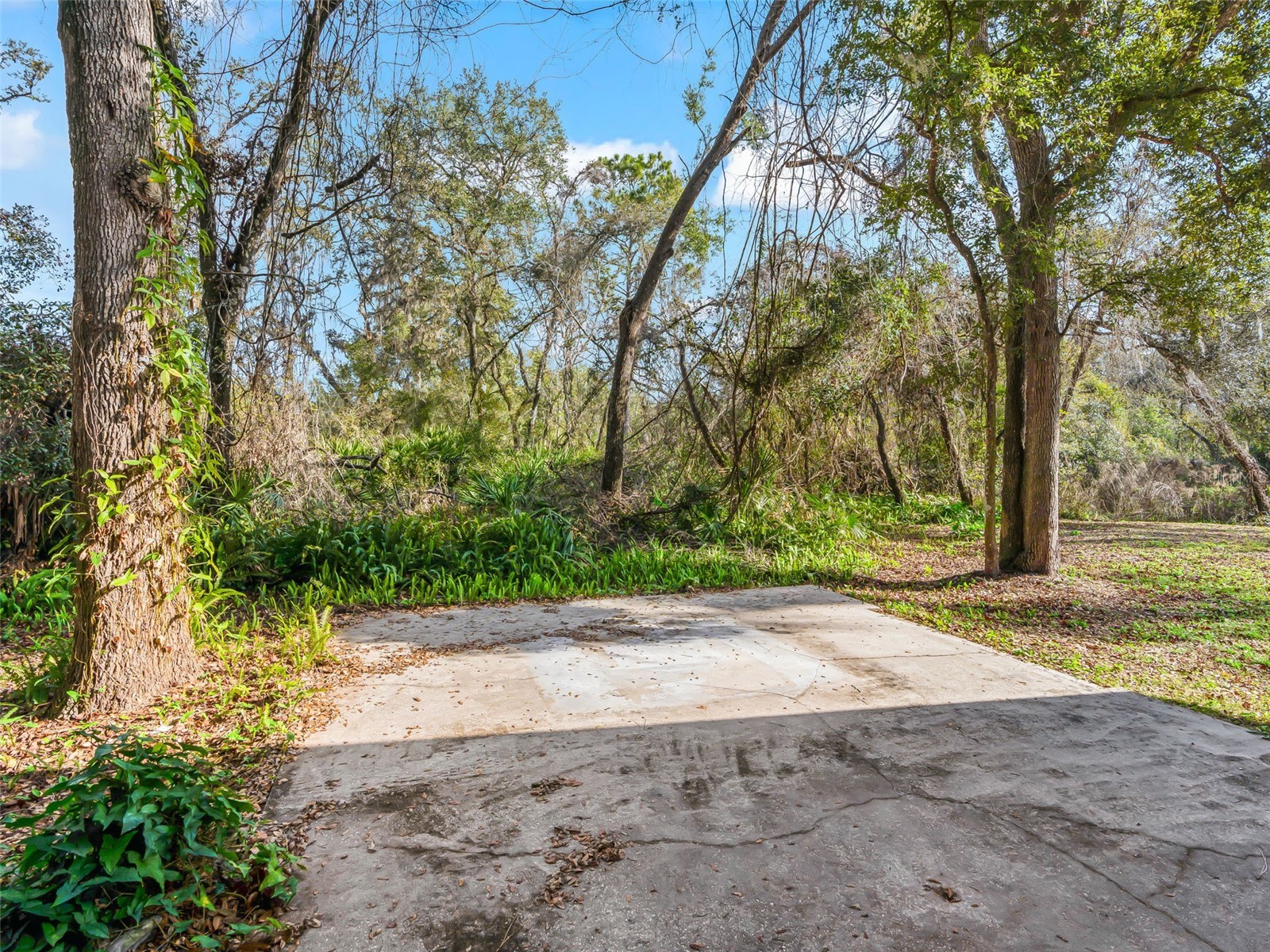 11398 Cr 682 Webster FL 33597 G5106705 image36