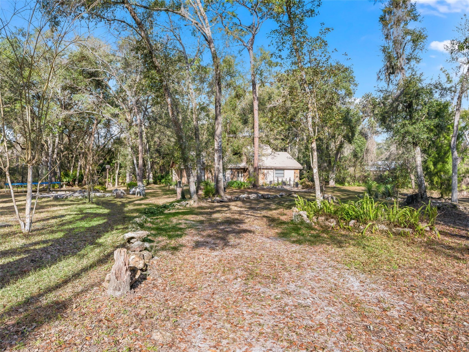 11398 Cr 682 Webster FL 33597 G5106705 image40