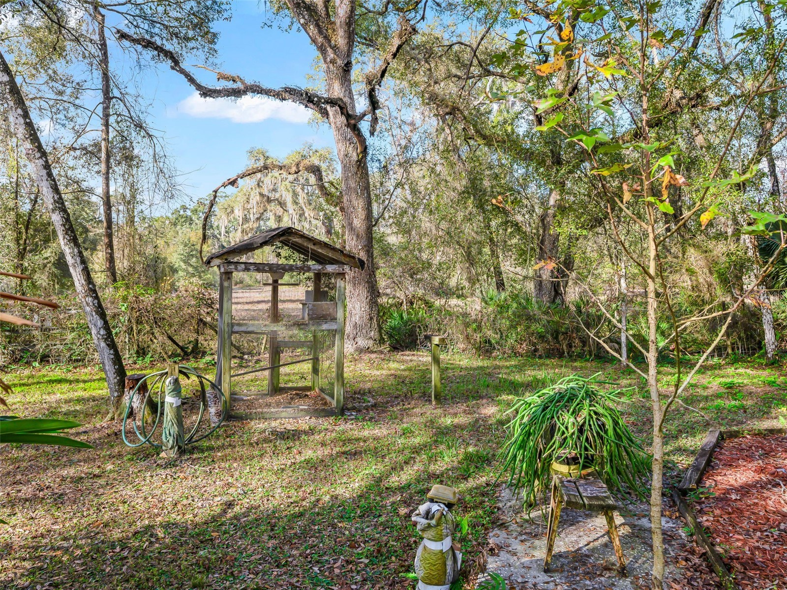 11398 Cr 682 Webster FL 33597 G5106705 image41
