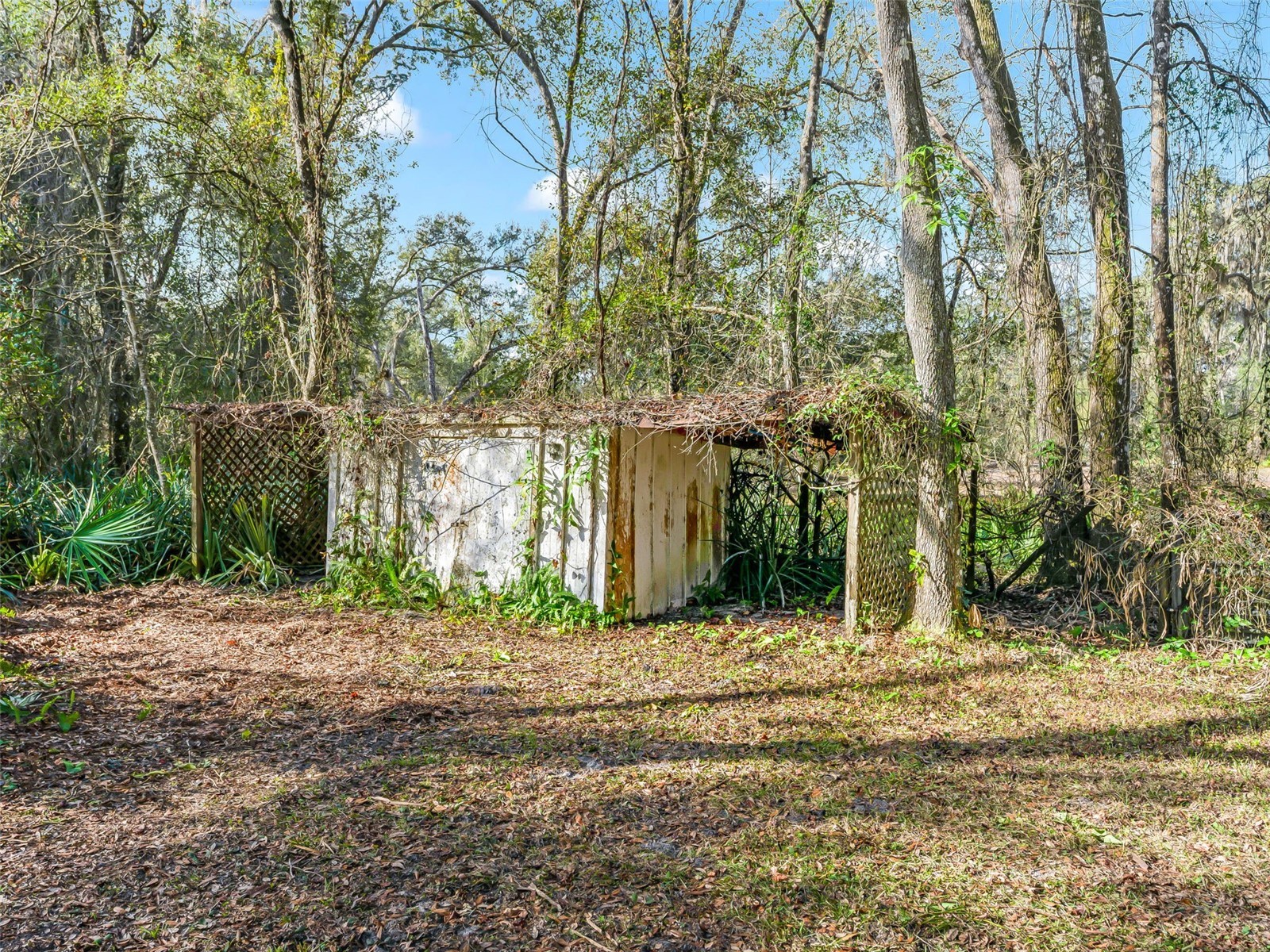 11398 Cr 682 Webster FL 33597 G5106705 image42