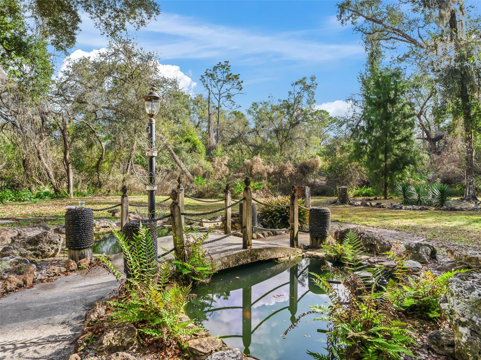 11398 Cr 682 Webster FL 33597 G5106705 image43