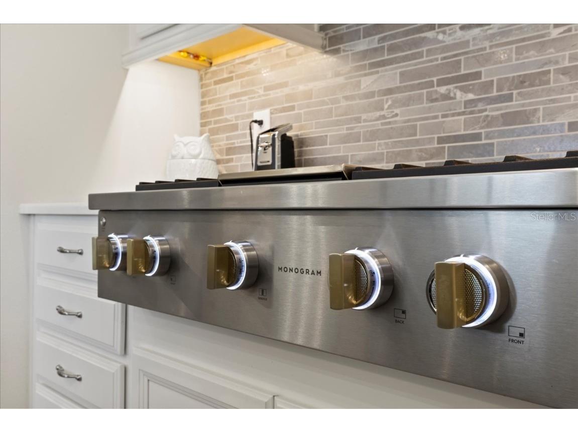 11398 Juglans Drive Odessa FL 33556 W7875778 image12