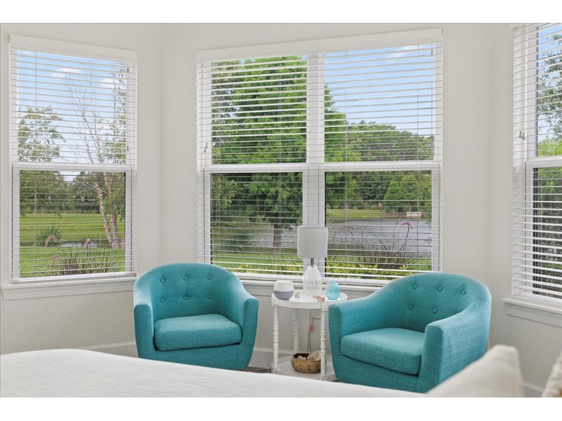 11398 Juglans Drive Odessa FL 33556 W7875778 image33