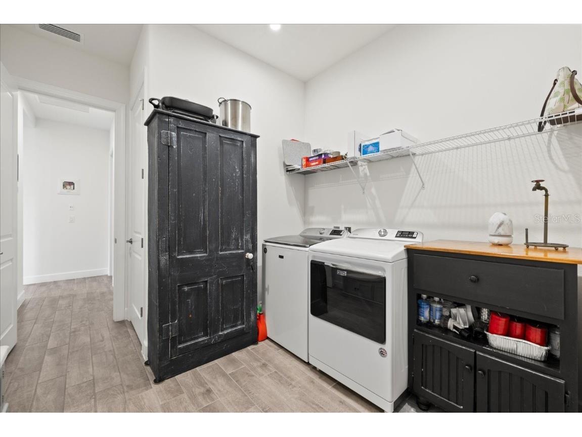 11398 Juglans Drive Odessa FL 33556 W7875778 image46